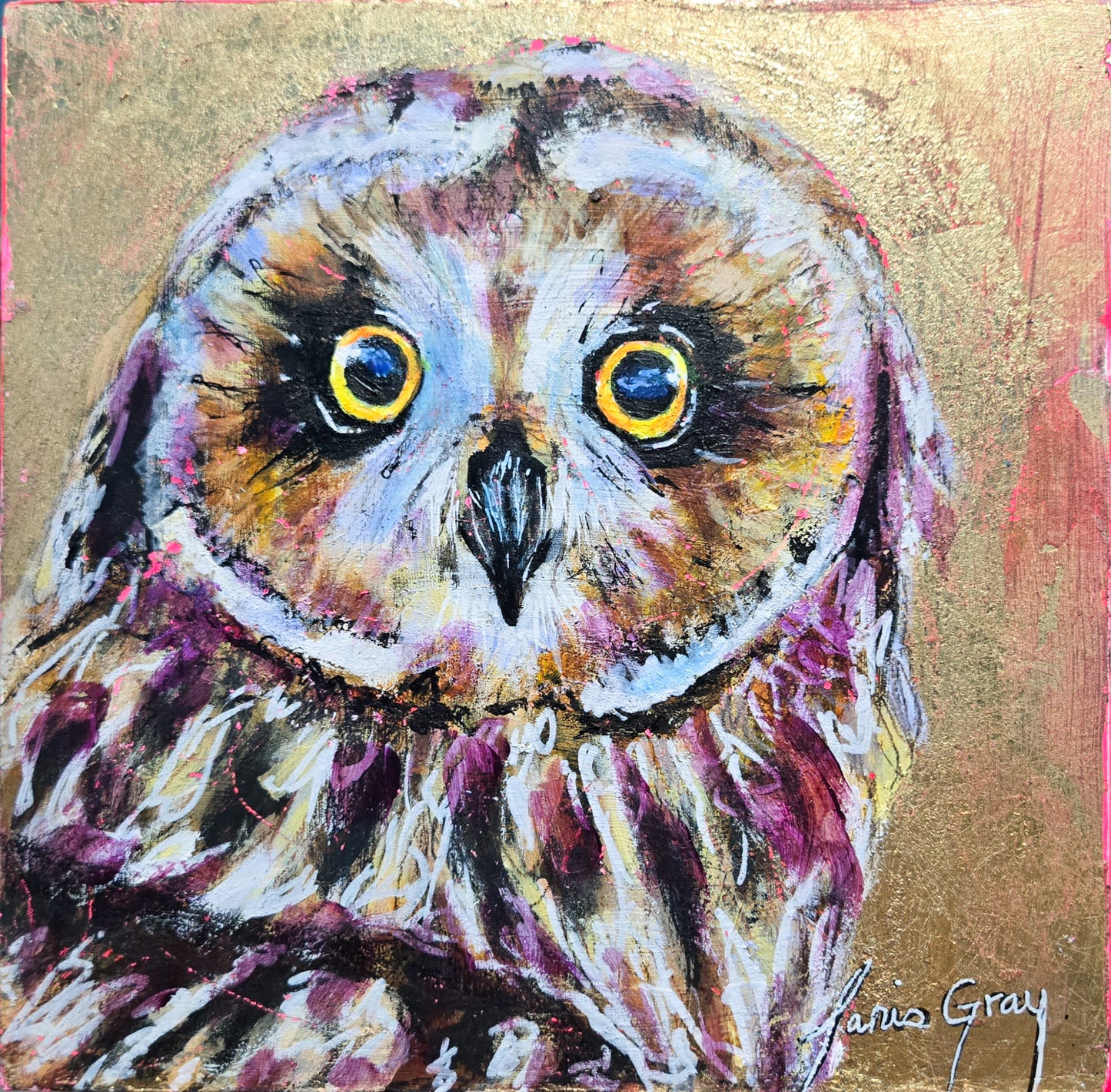Short Eared Owl