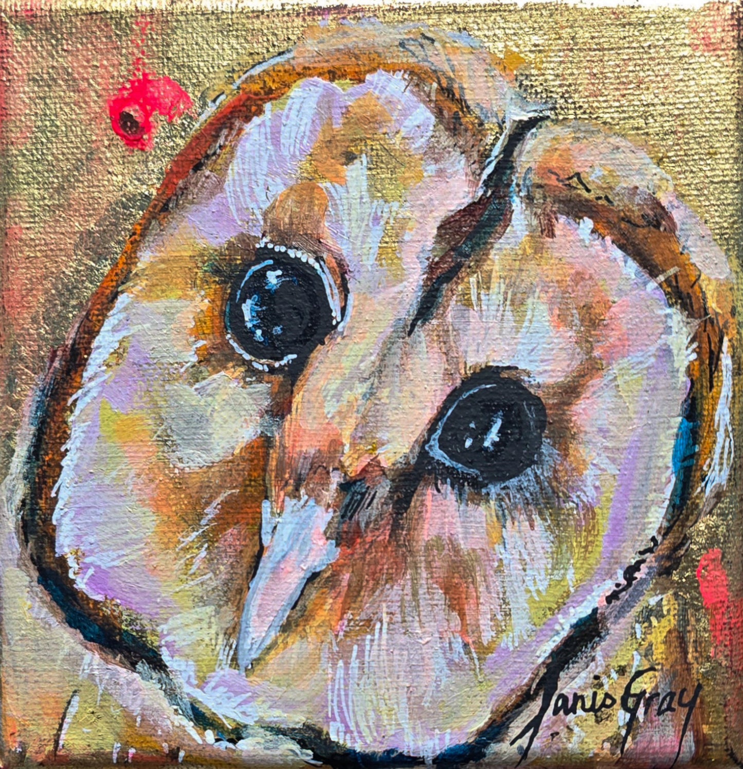 Barn Owl