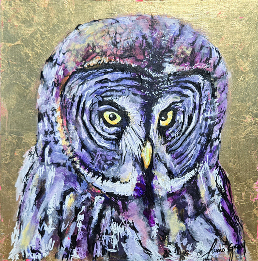Great Grey Owl