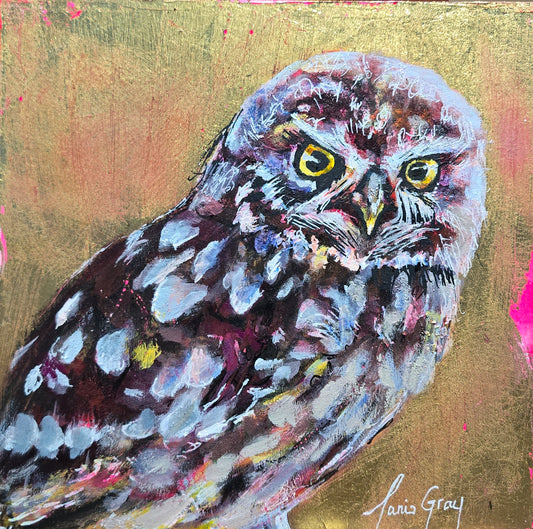 Burrowing Owl